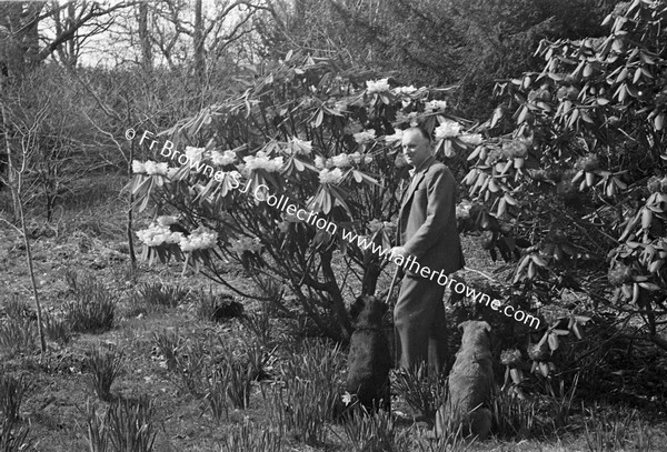 HEADFORD HOUSE  RHODODENDRONS  LORD HEADFORD